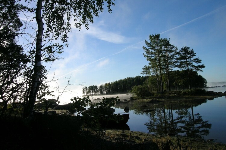 Ferienhaus Tyngsjo Vildmark (795124), Äppelbo, Dalarnas län, Mittelschweden, Schweden, Bild 38