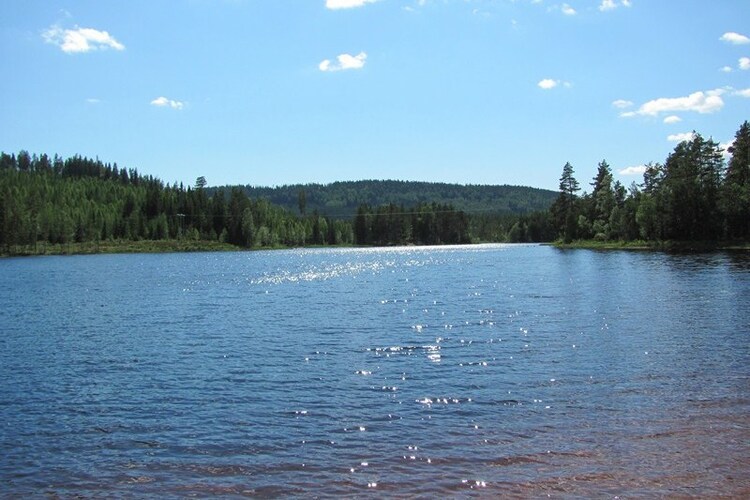 Ferienhaus Tyngsjo Vildmark (795124), Äppelbo, Dalarnas län, Mittelschweden, Schweden, Bild 8