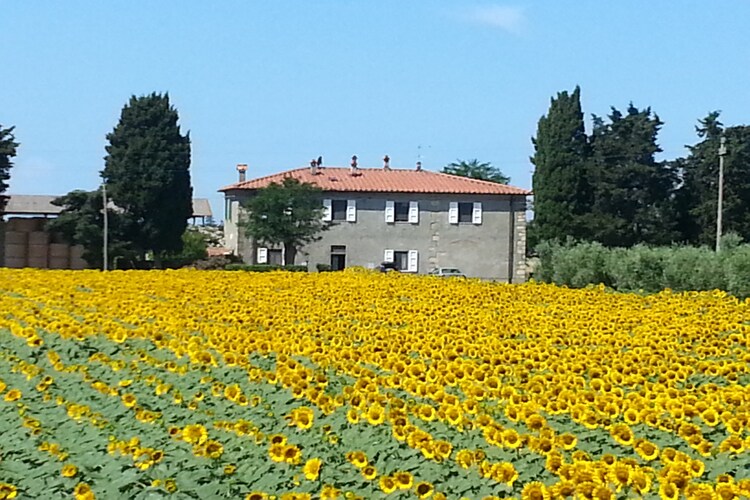 Holiday home Tuscany Elba