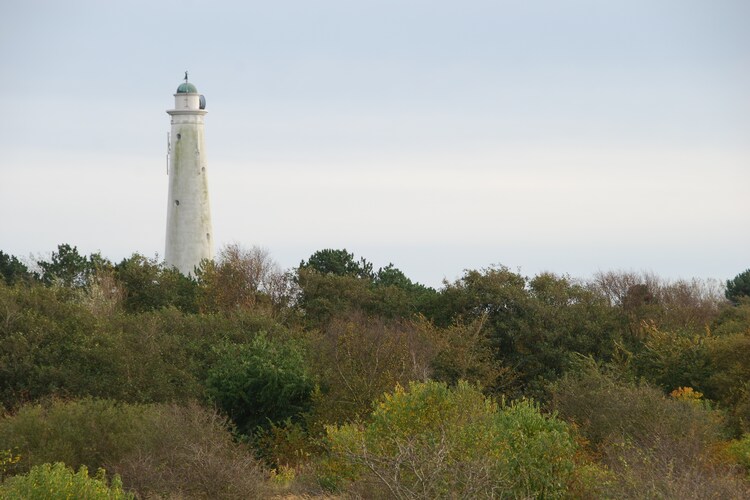 Ferienwohnung Strandresort Schier (808769), Schiermonnikoog, Schiermonnikoog, Friesland (NL), Niederlande, Bild 28