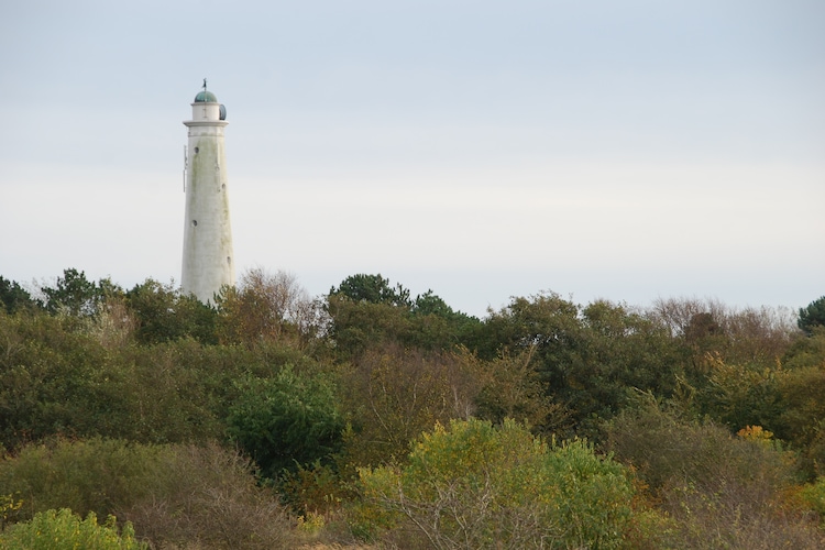 Ferienwohnung Strandresort Schier (808771), Schiermonnikoog, Schiermonnikoog, Friesland (NL), Niederlande, Bild 23