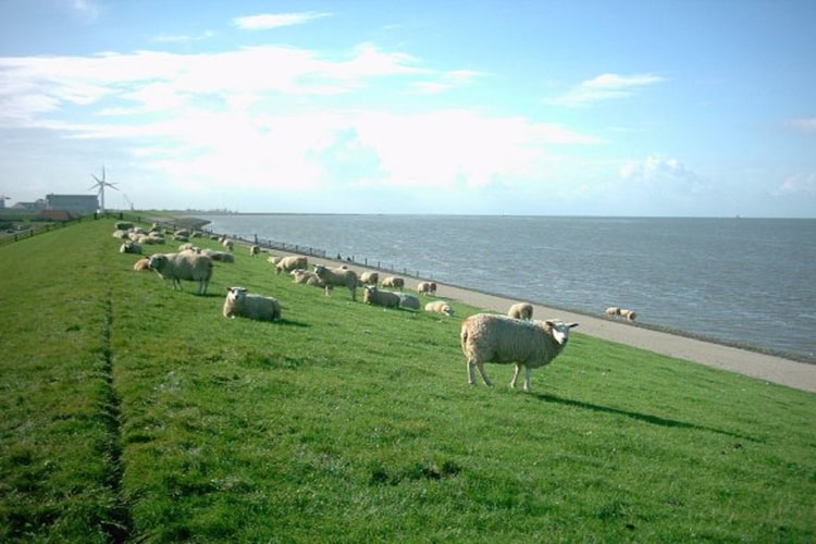 Ferienhaus Recreatiepark de Friese Wadden (828228), Tzummarum, , , Niederlande, Bild 23