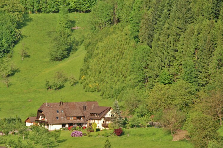 Mansion Black Forest