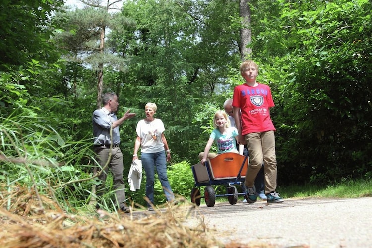 Ferienhaus Natuurpark De Witte Bergen (860842), IJhorst, , Overijssel, Niederlande, Bild 19