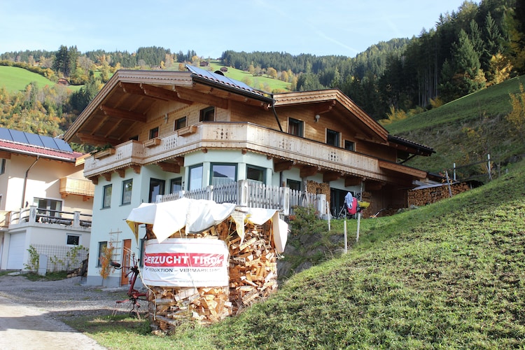 Apartment Tyrol