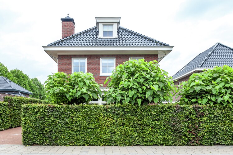 Villa Guelders