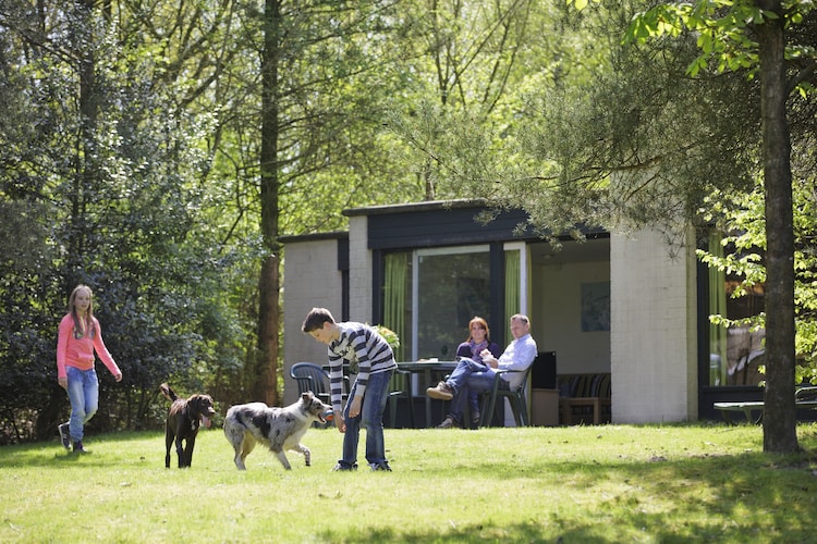 Holiday home Limburg