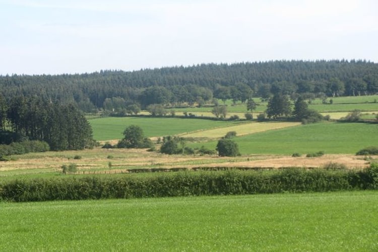 Ferienhaus Hunnenberg (971744), Büllingen, Lüttich, Wallonien, Belgien, Bild 32