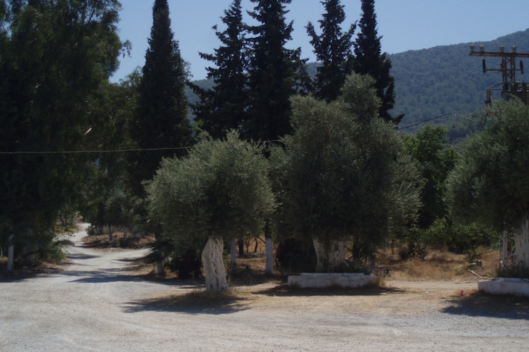 Ferienhaus Villa Evin (957137), Kusadasi, , Ägäisregion, Türkei, Bild 12