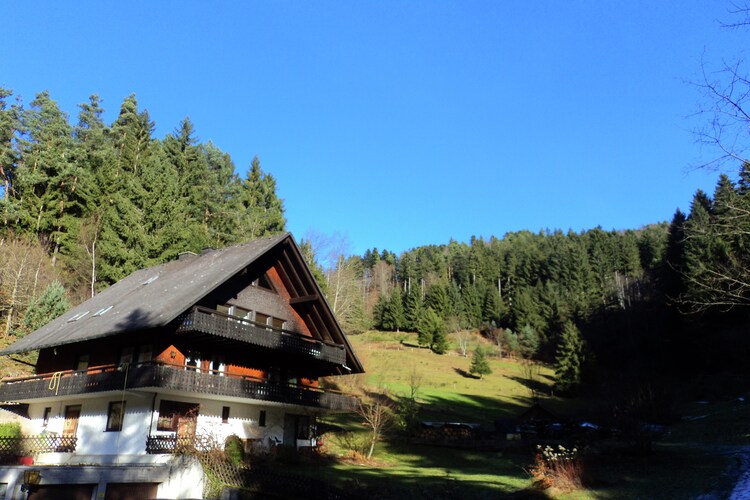 Mansion Black Forest