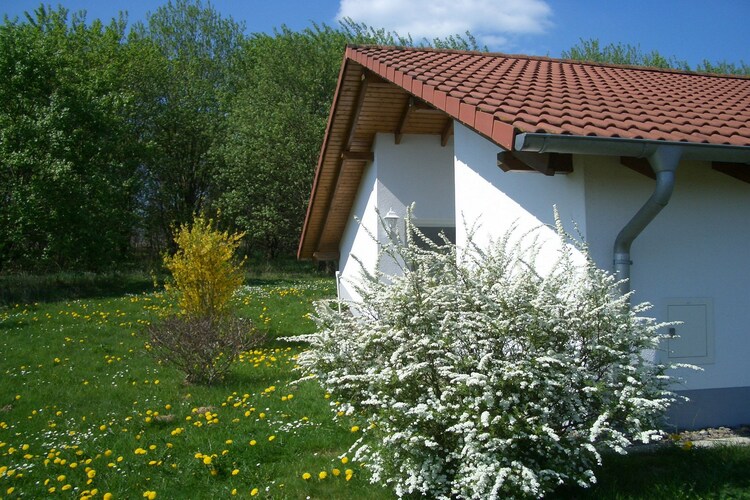 Holiday home Weser Uplands