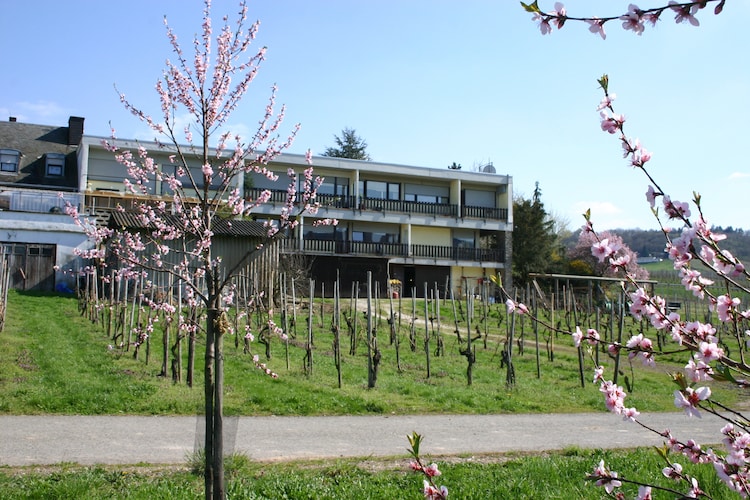 Holiday home Mosel