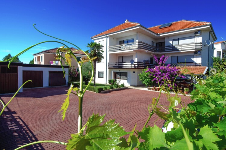 Apartment Dalmatia