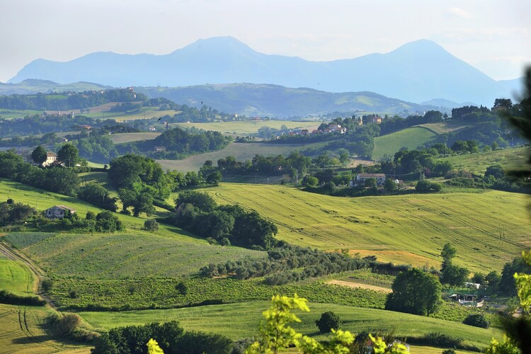 Cottage Marche