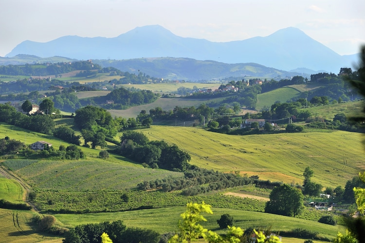Cottage Marche