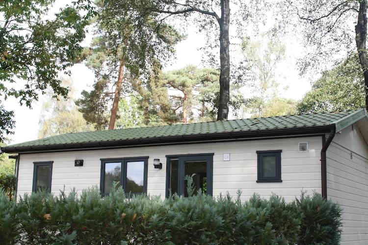 Chalet Limburg