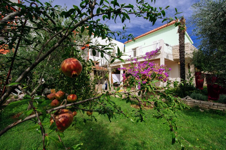 Apartment Dalmatia