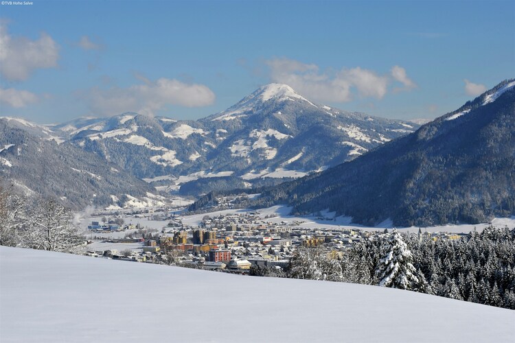 Apartment Tyrol