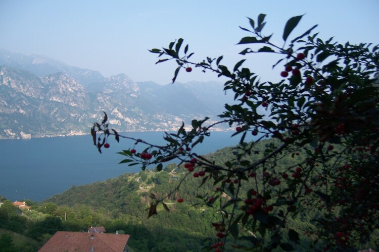 Apartment Lakes of Italy