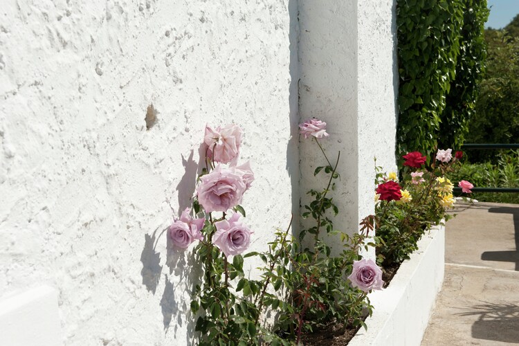 Holiday home Costa del Sol