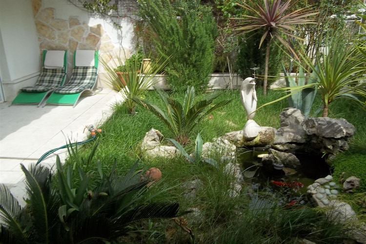 Apartment Dalmatia