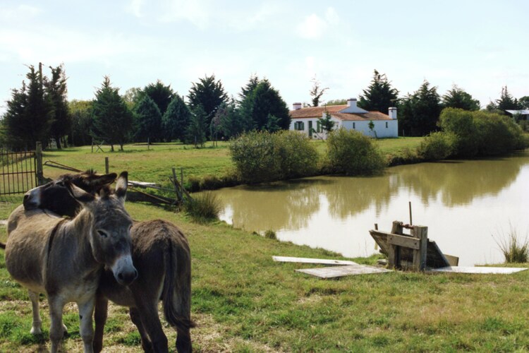 Holiday home Loire
