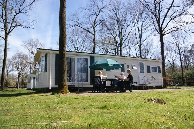 Chalet Drenthe