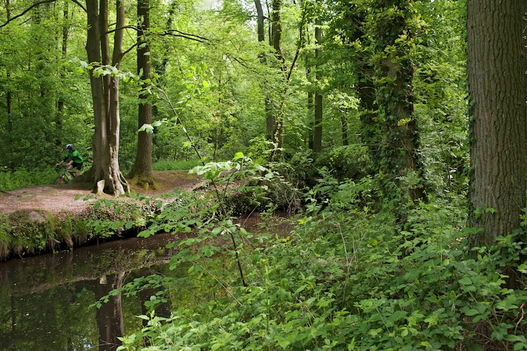 Ferienhaus Recreatiepark Het Winkel (1698558), Brinkheurne, , Gelderland, Niederlande, Bild 18