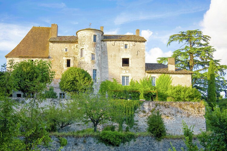 Castle Dordogne