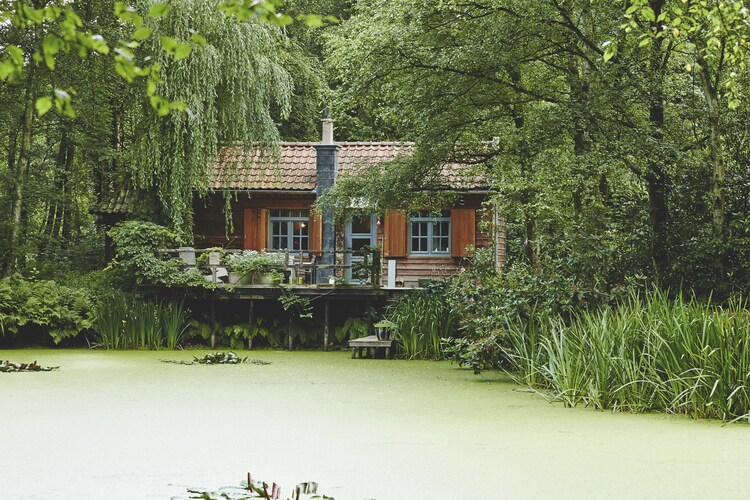 Chalet Limburg