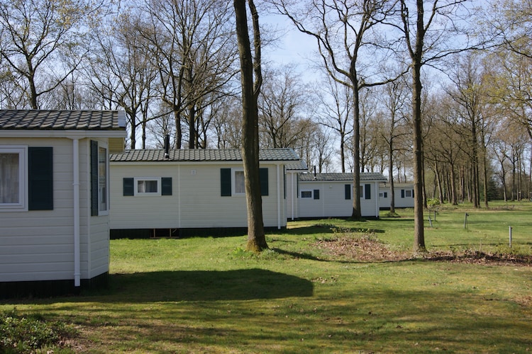 Chalet Drenthe
