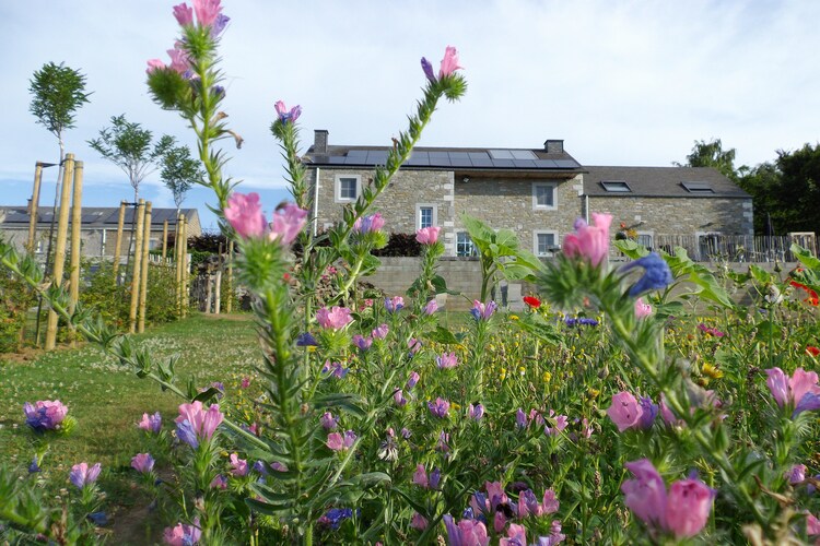 Cottage Liege