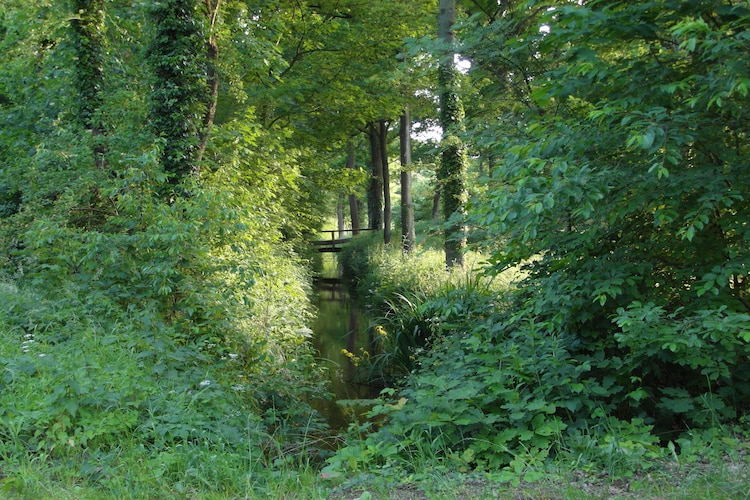 Ferienhaus Linda (1686945), Haaksbergen, , Overijssel, Niederlande, Bild 26