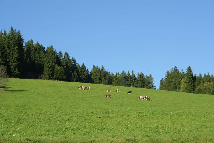 Ferienwohnung im Schwarzwald
