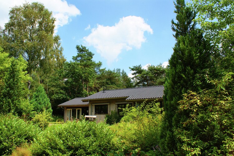 Bungalow Guelders