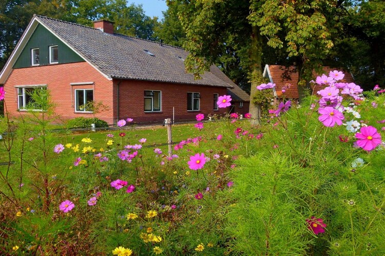 Holiday home Overijssel