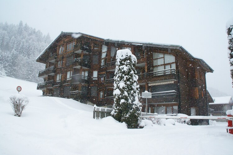 Chalet Northern Alps