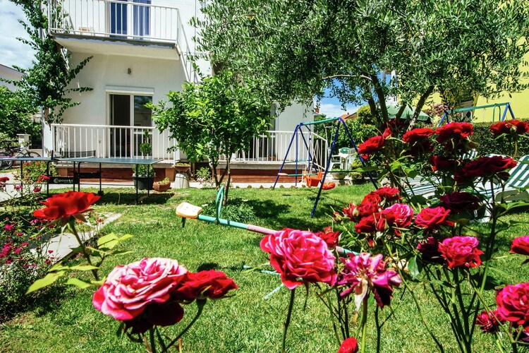 Apartment Dalmatia