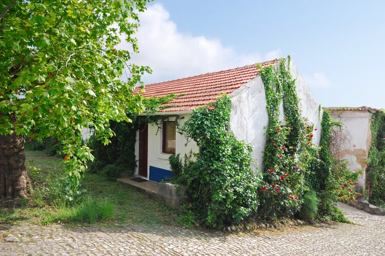Apartment Beiras Centro Region