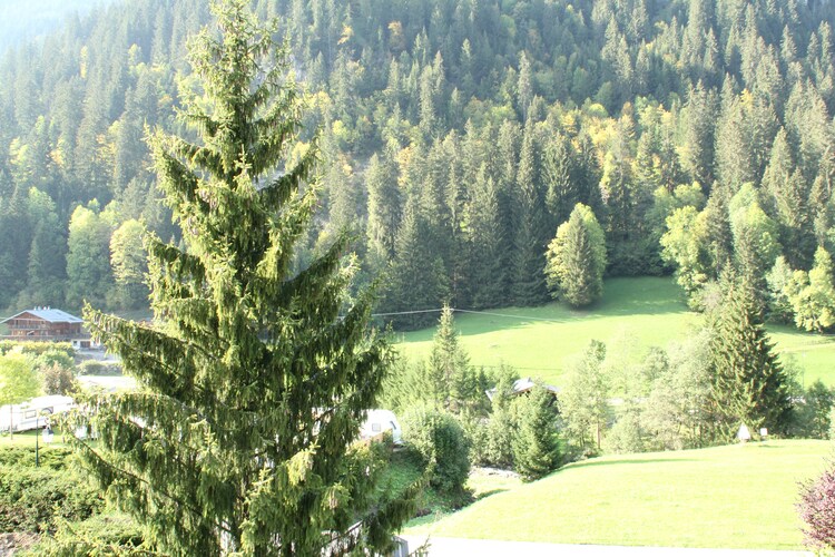 Apartment Northern Alps