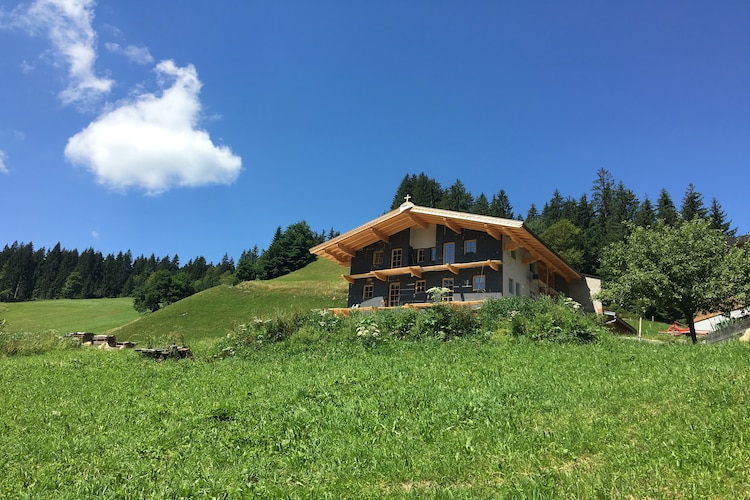 Apartment Tyrol