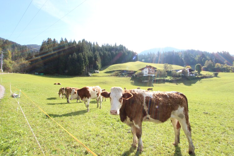 Holiday home Tyrol