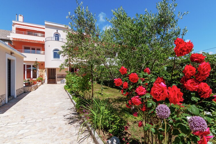 Apartment Dalmatia