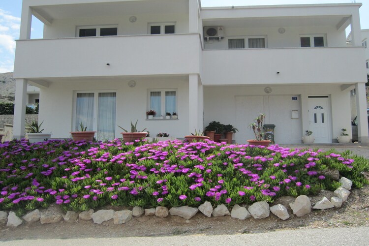 Apartment Islands