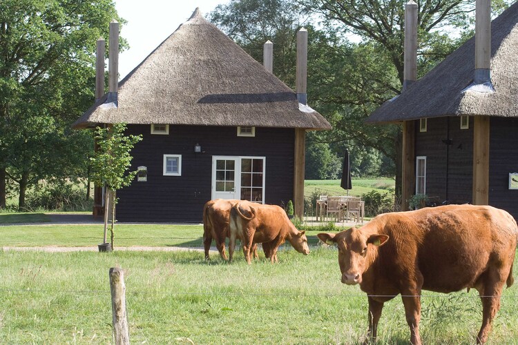 Holiday home Overijssel