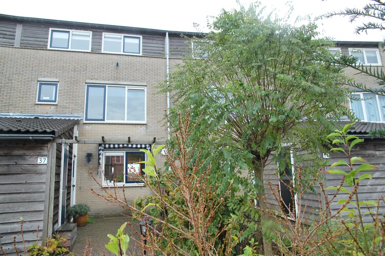 Holiday home North Holland