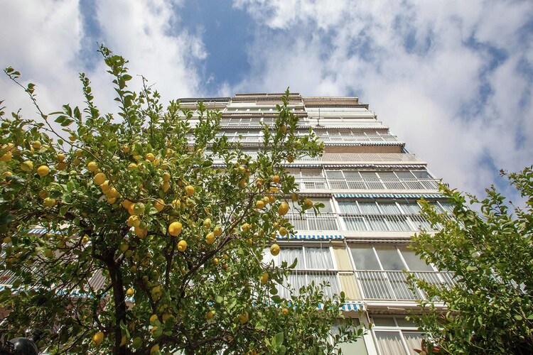 Apartment Costa Blanca