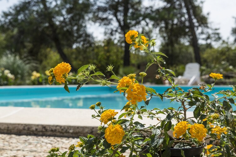 Villa Apulia