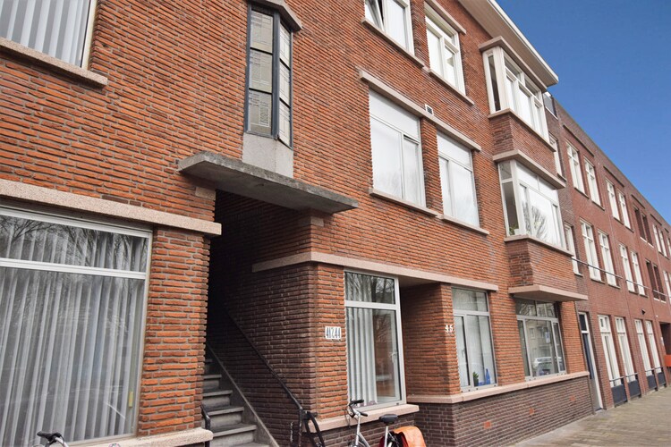 Apartment South Holland