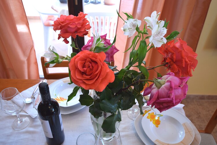 Apartment Istria